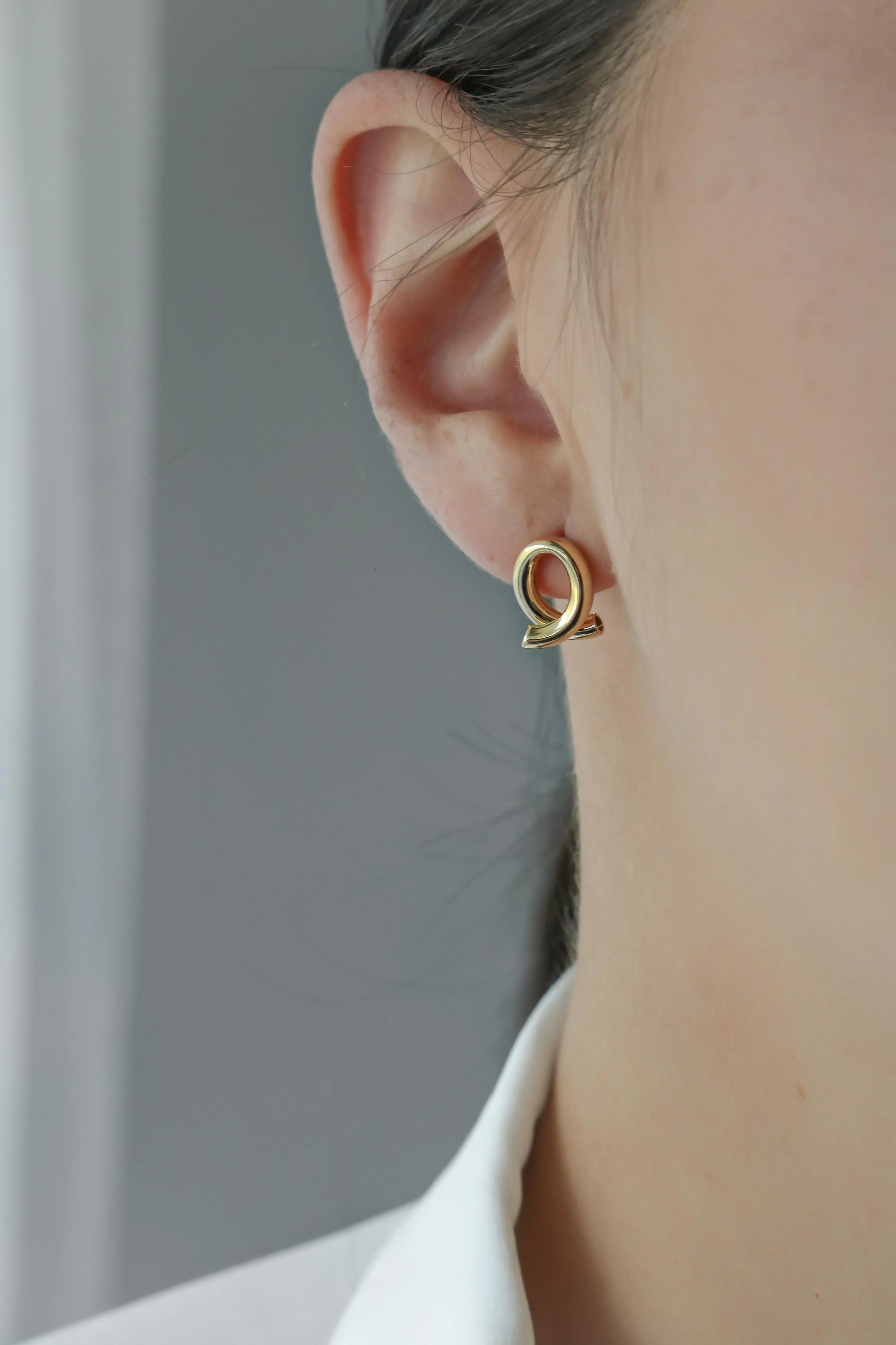 Bold Loop Earrings