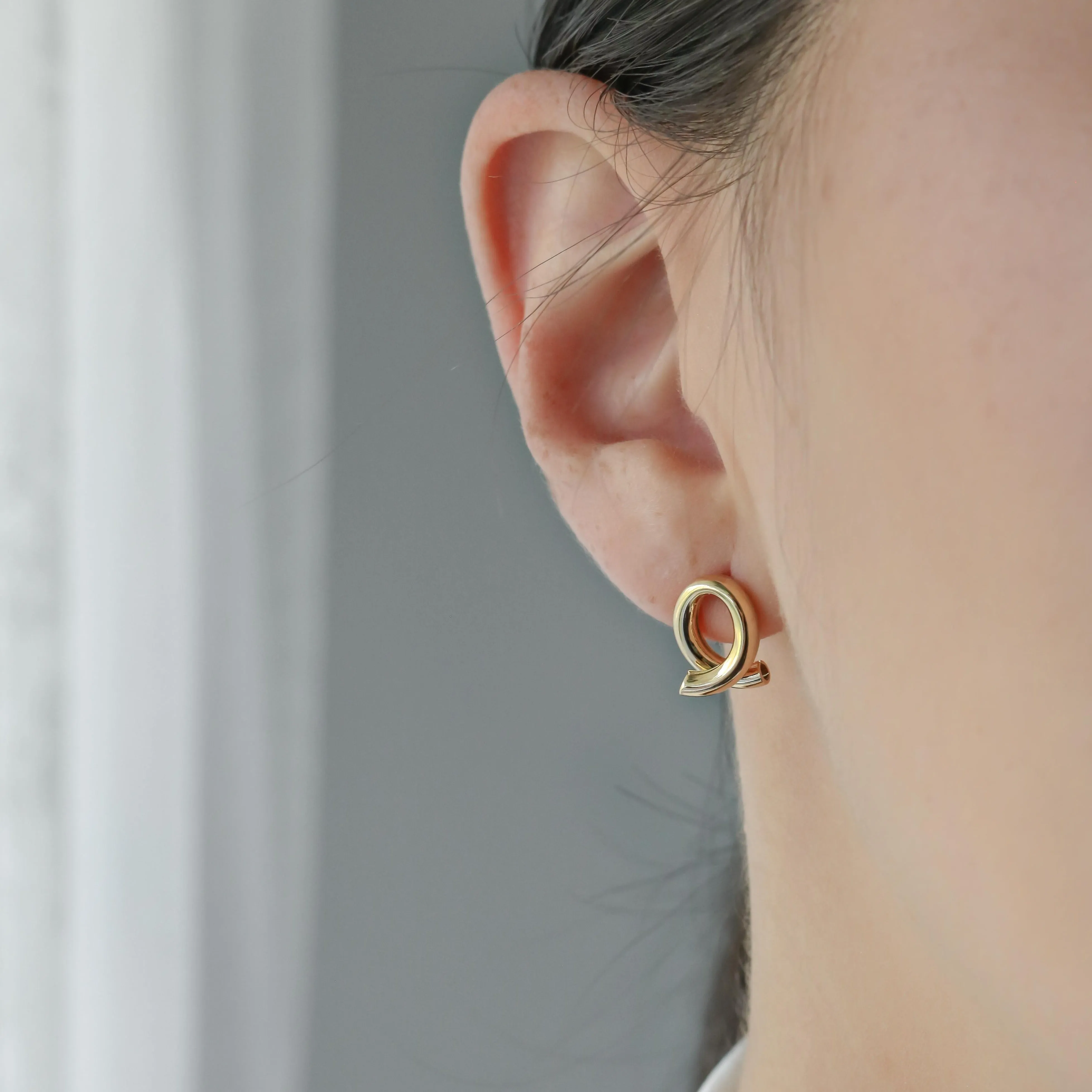 Bold Loop Earrings