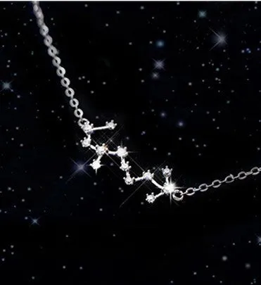 S925 Silver Zodiac Necklace