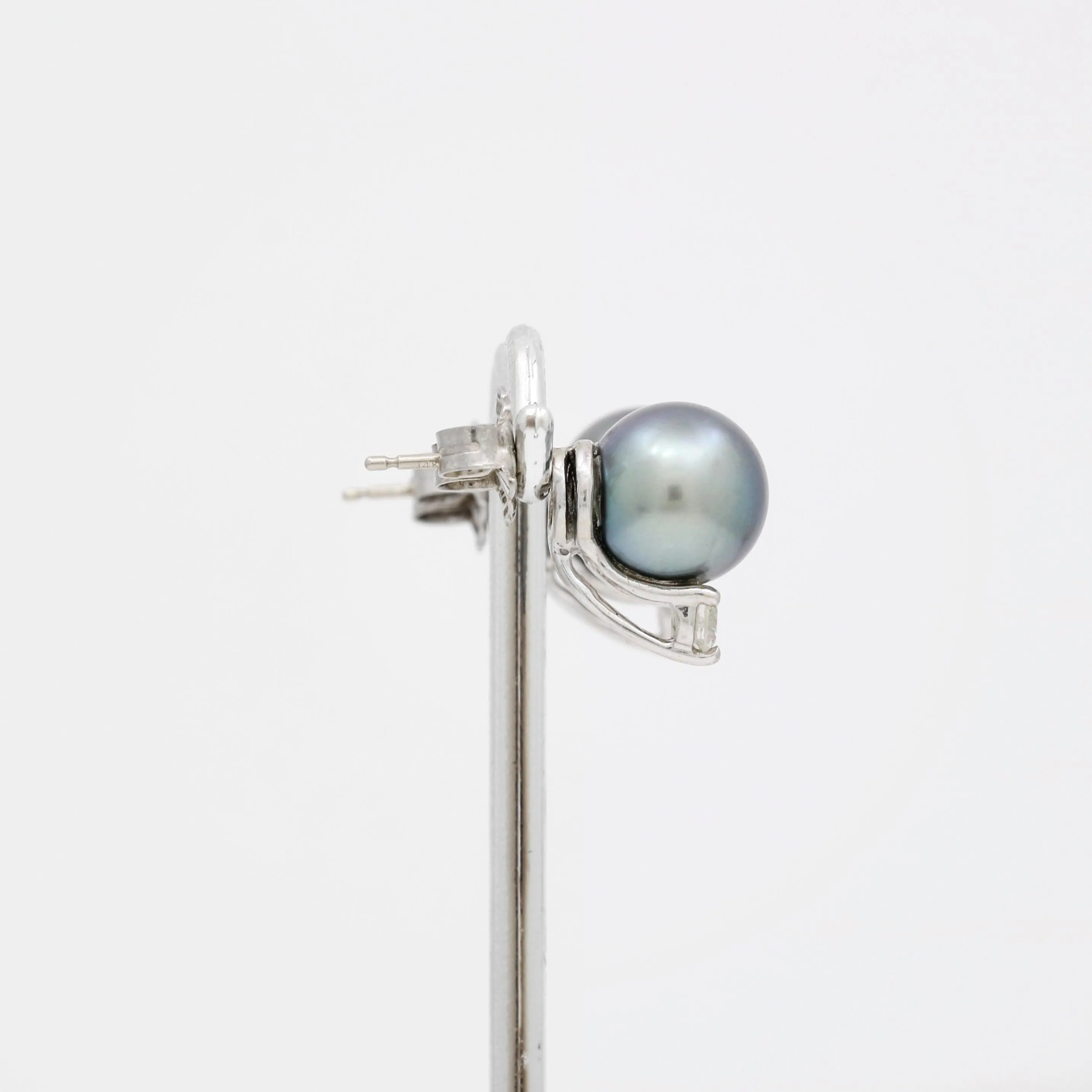 South Sea Tahitian Pearl Diamond Stud Earring 14k White Gold